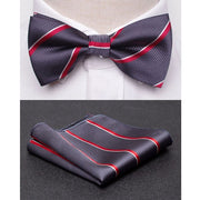 Men Bowtie Cravat Set Fashion Butterfly Party Wedding Ties