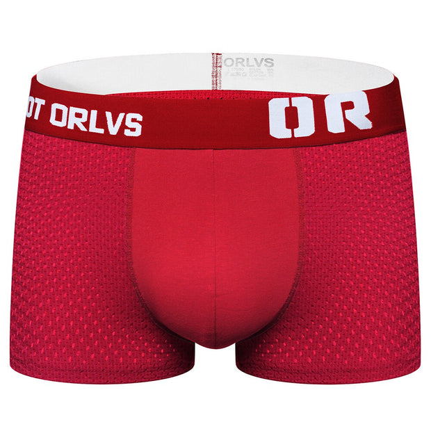 ORLVS Mesh MIke Fiber Cotton Boxershorts Men Comforable Panties Set
