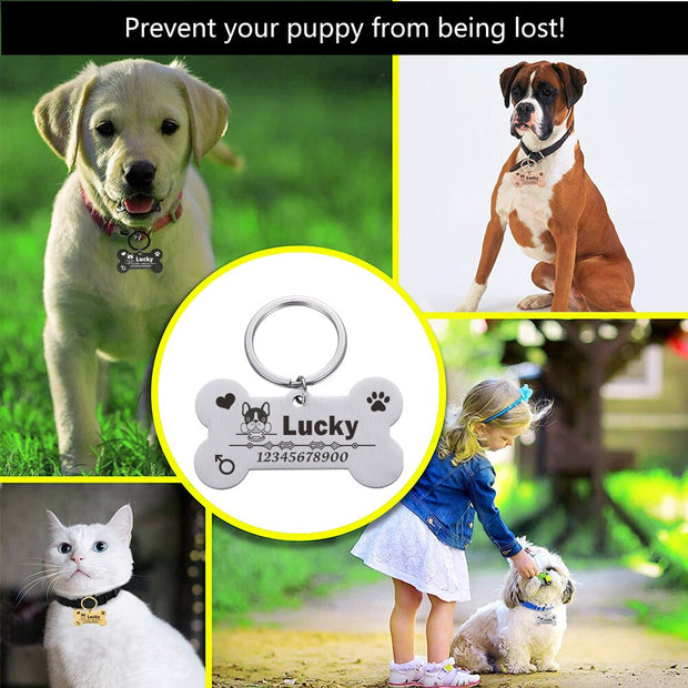 Engraved Pet Id Tags Custom Metal Bone Collar for Cat Silent Tag Personalized Collar