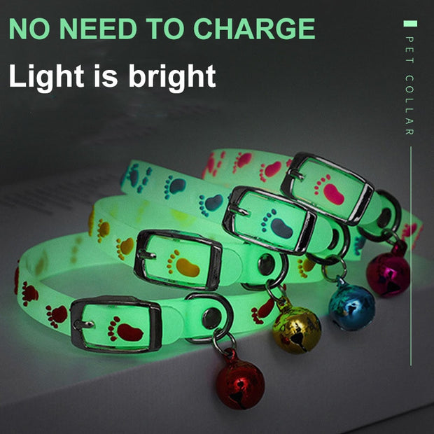 Pet Glowing Collars With Bells Glow At Night