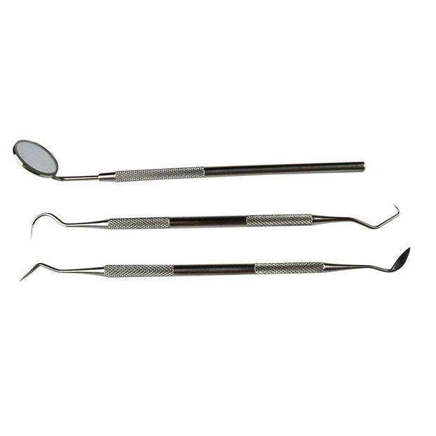 Dentist Tartar Scraper Dental Machine Dental Oral Care Tool Set