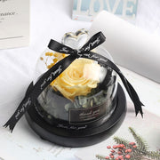 hot Real Roses In Flask Glass Dome Beauty Beast  Eternal Preserved Rose