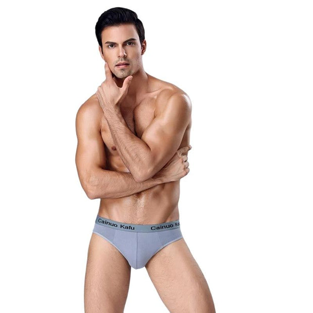 Man Panties Boy Undies Underwear Big Size Breathable Briefs Shorts