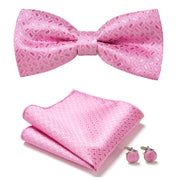 New Paisley  Bow Tie for men Wedding Bowtie Handkerchief Cufflink Set