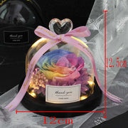 hot Real Roses In Flask Glass Dome Beauty Beast  Eternal Preserved Rose