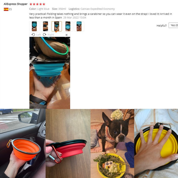 350ML/1000ML Foldable Silicone Pet Bowl Portable Puppy Food Container