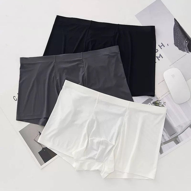 Summer Ice Silk Men Underwear Seamless Transparent Boxer Shorts