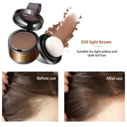 Hairline Shadow Powder 4colors Replenish Hair Artifact Repair Filling Powder