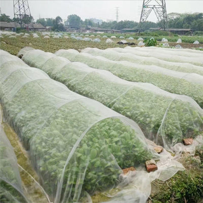Garden Vegetable Insect Net Cover Plant Flower Care Protection Network