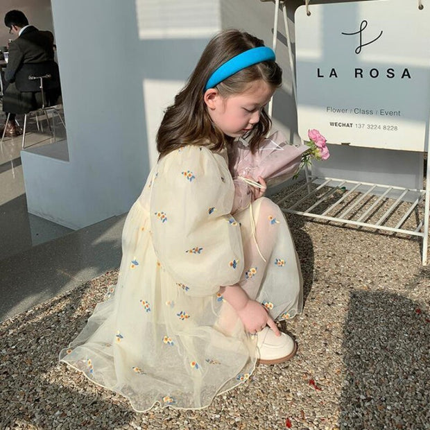 Girls Cute Lace Dress Autumn Fluffy Mesh Princess Dresses For Kids